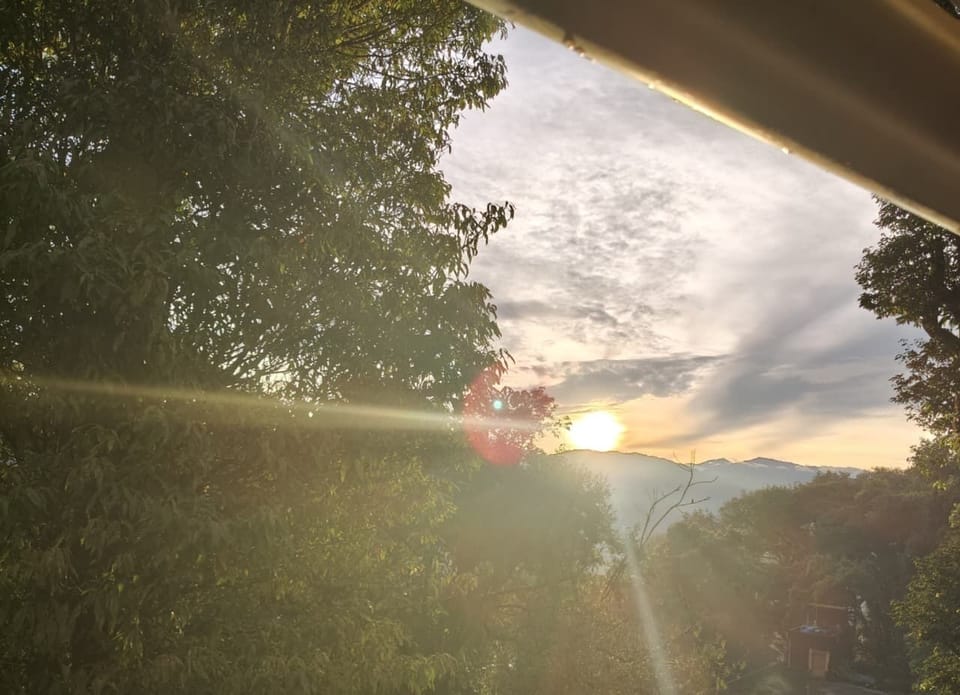 View from property