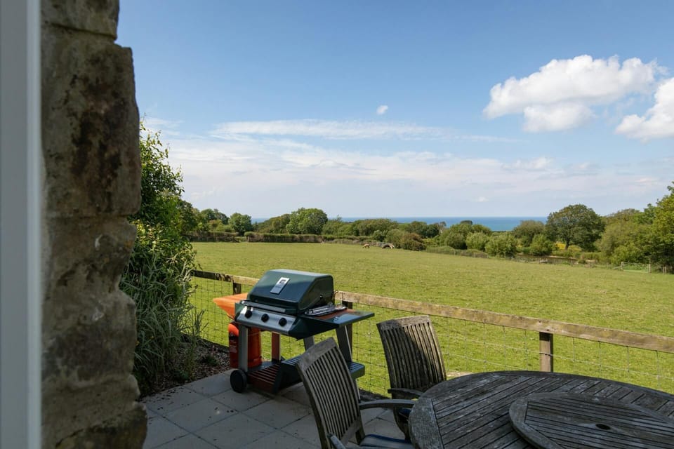 Patio area with table, chairs and BBQ