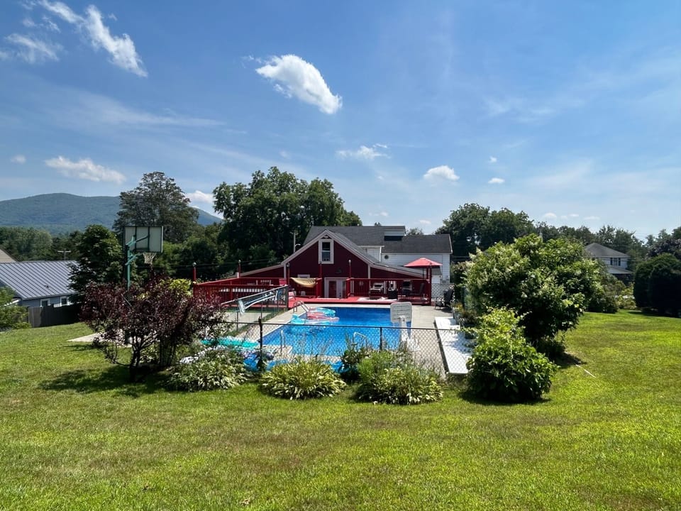 Yard and cabin from the back yard