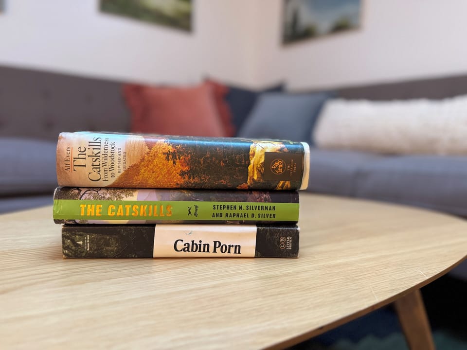 Apt 1 - Living Room detail