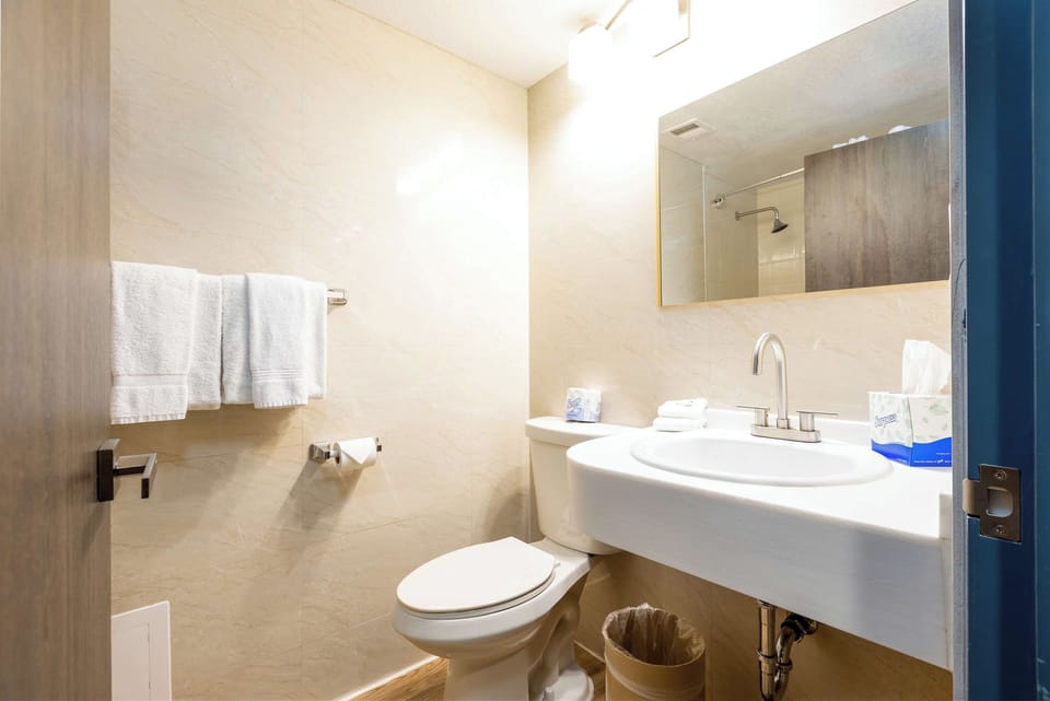 Refresh easily in a bright bath with clean finishes.