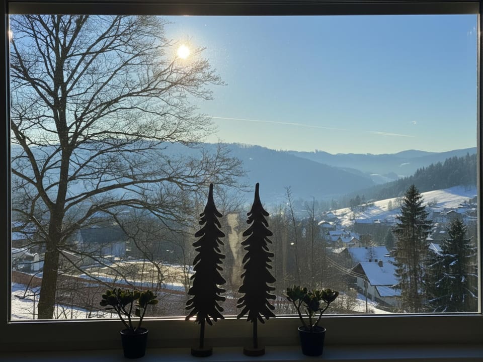 View from Holiday Home [winter]