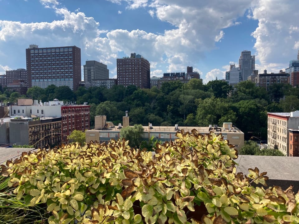 View from property
