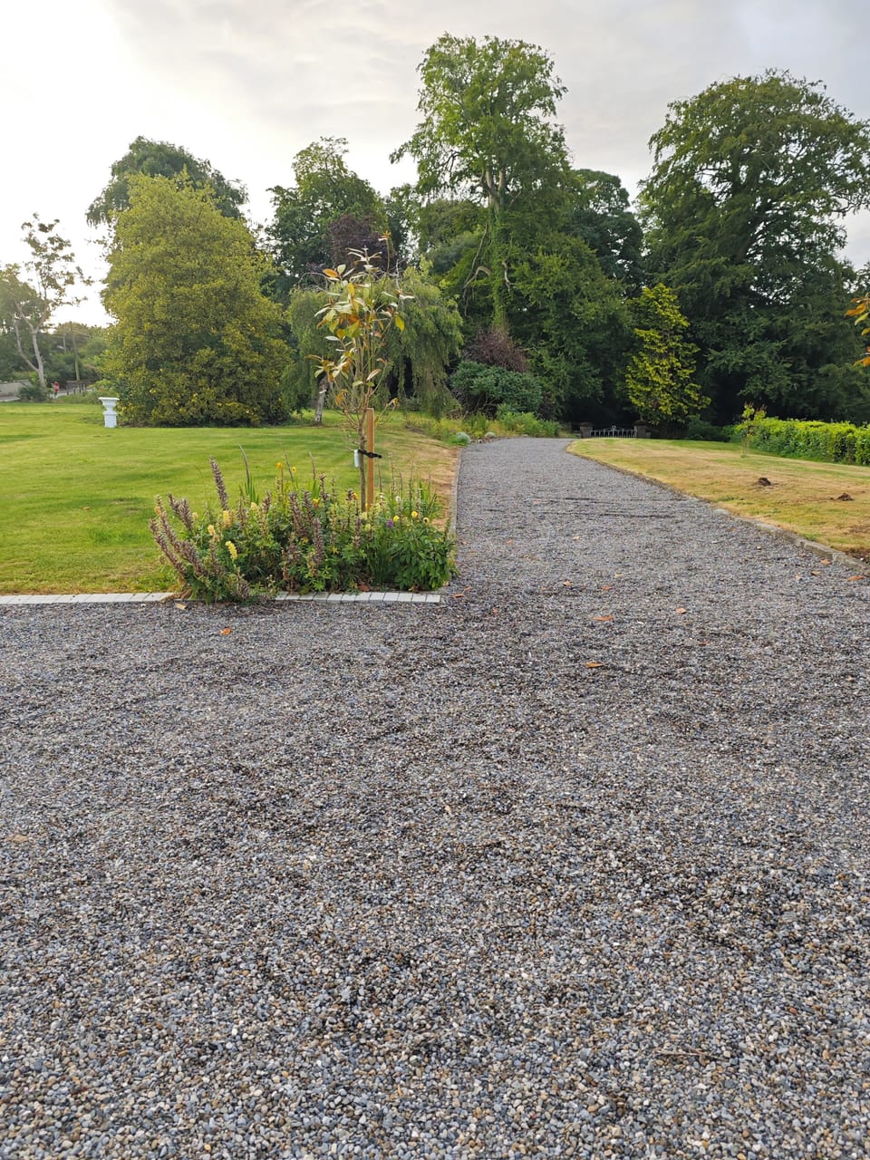 Front garden and driveway