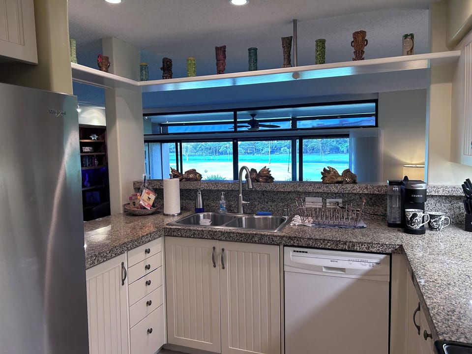 Kitchen has supplies like dishwasher soap, dish sponges, and dishwasher pods.