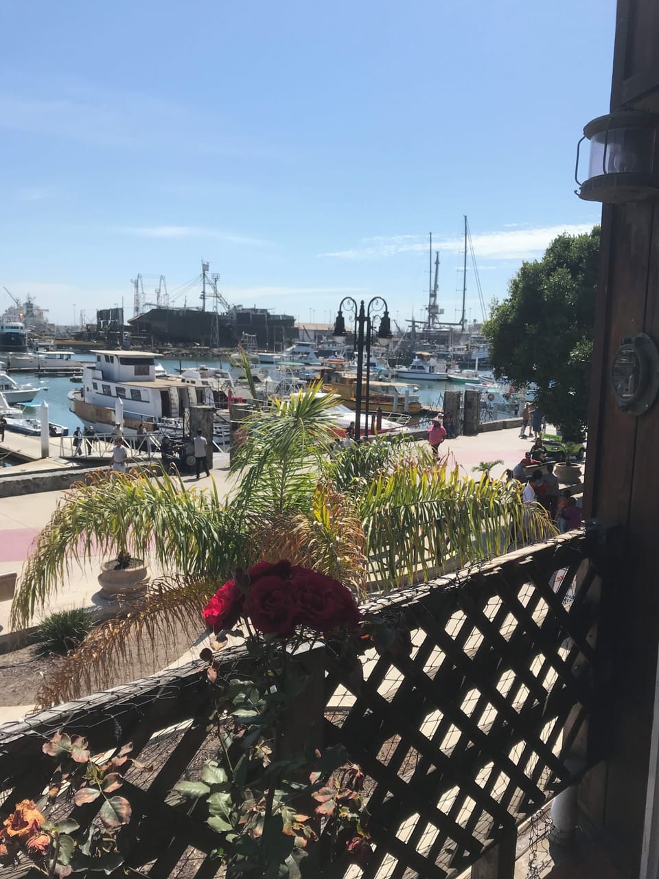 Marina