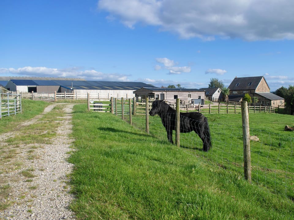 Surrounding area | Shepherds Hut - Hillcrest, Ribble Valley-Forest of Bowland 