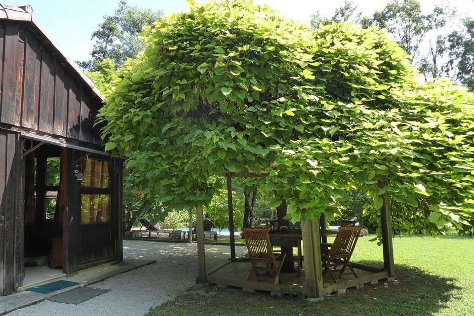 Autumn, Garden, Spring, Summer