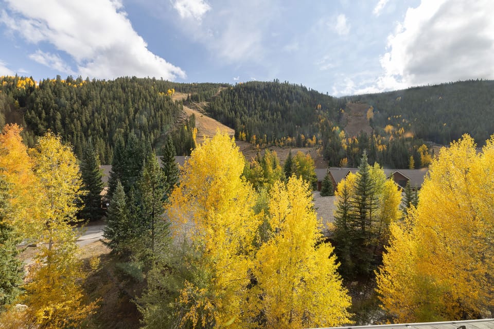 A landscape view of a mountainous region with dense evergreen and deciduous trees displaying fall colors. A clear sky with a few clouds is overhead.
