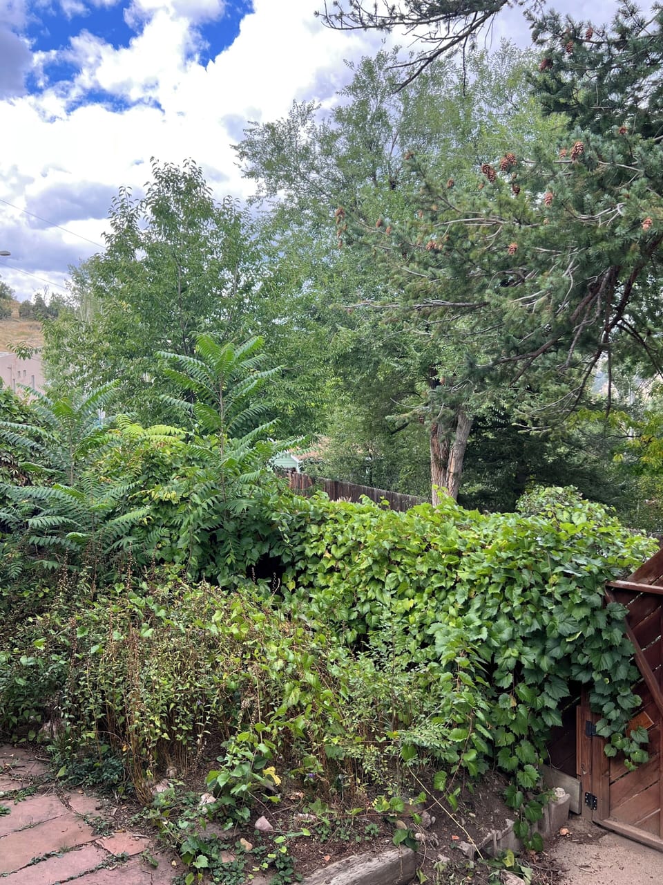 Property grounds