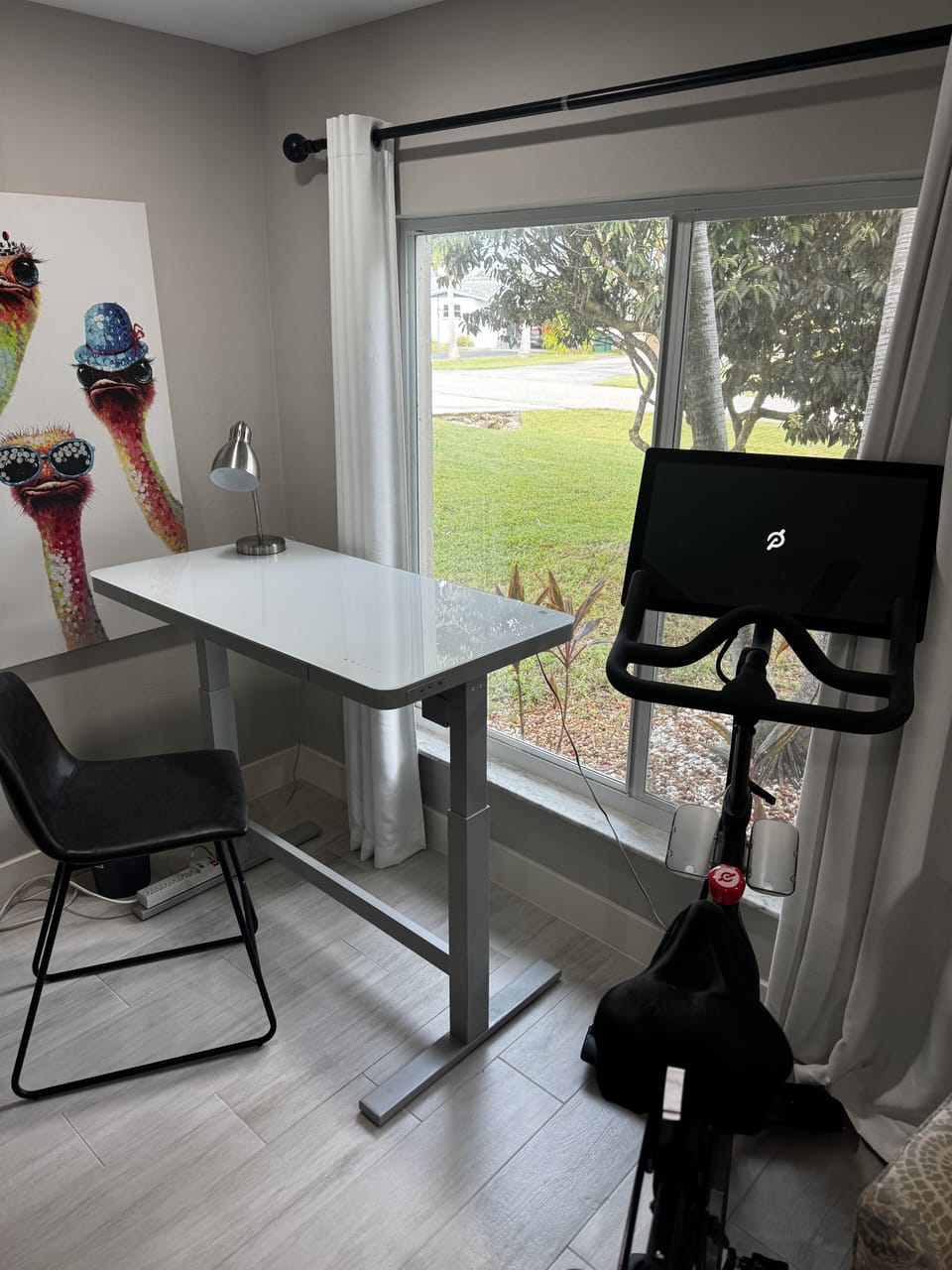 Adjustable desk with Peloton