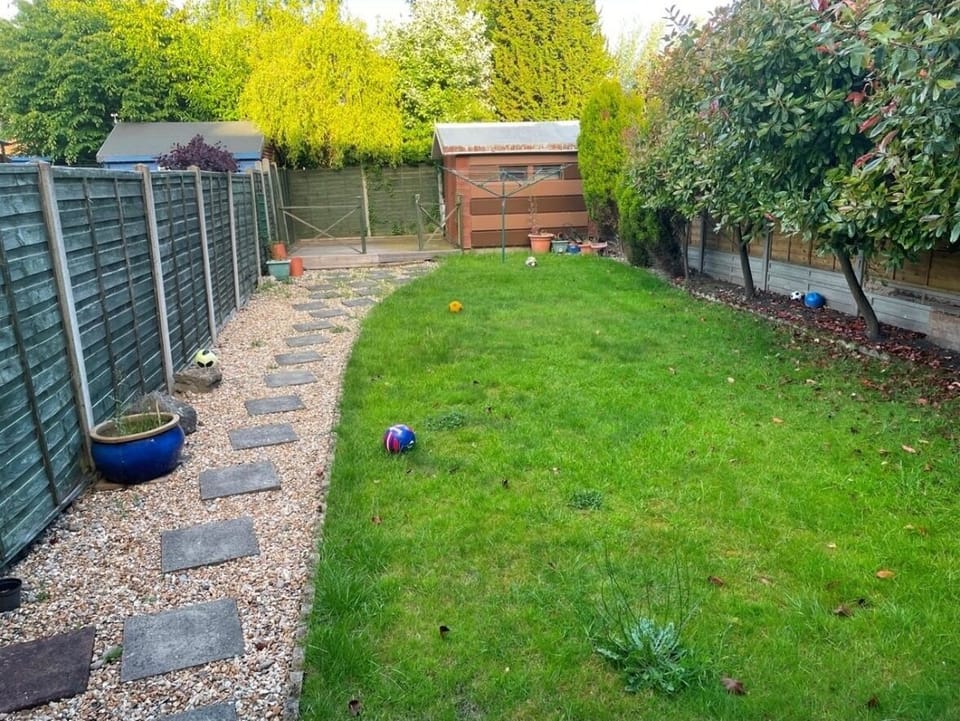 Back Garden 