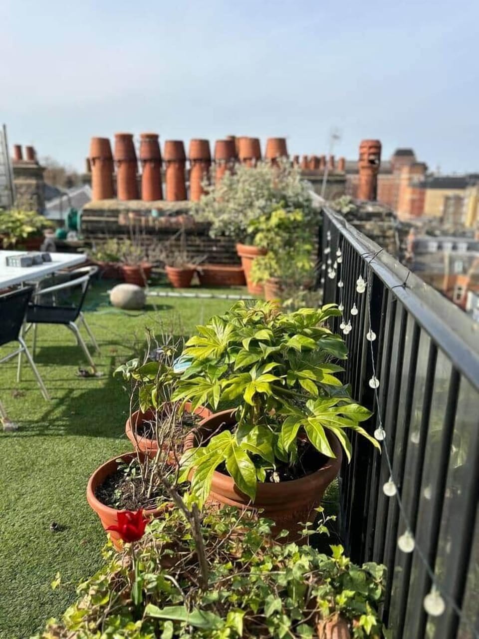 Exclusive Roof Terrace