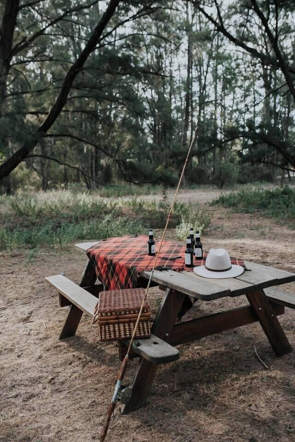Hike the property's highest hills with Alpacas by your side or spend your days amongst the trees at the picnic table; the greatest picnics you will ever have are here by the river.

