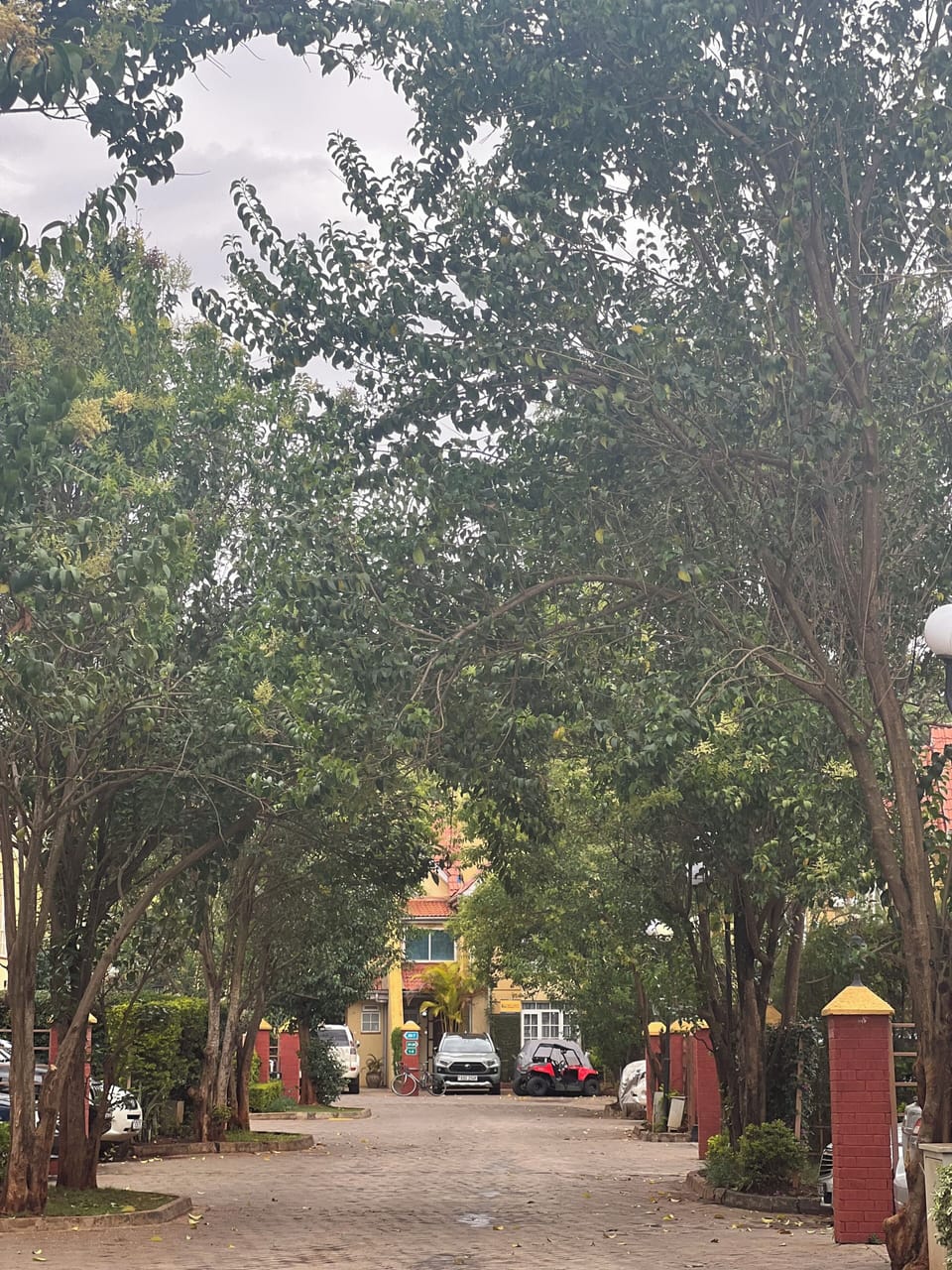 Driveway to house