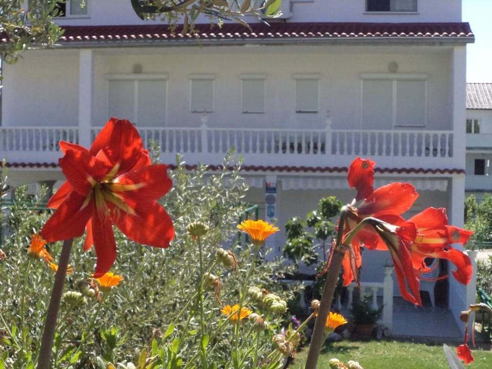 ferien haus