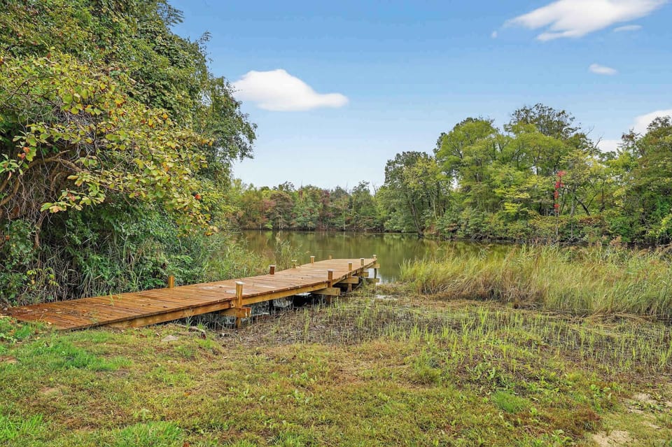 Still waters, quiet moments—nature at its most serene.