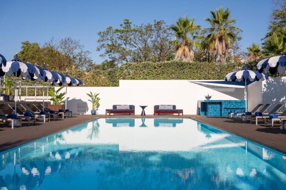 Dive into serene blue water framed by palm-lined calm.