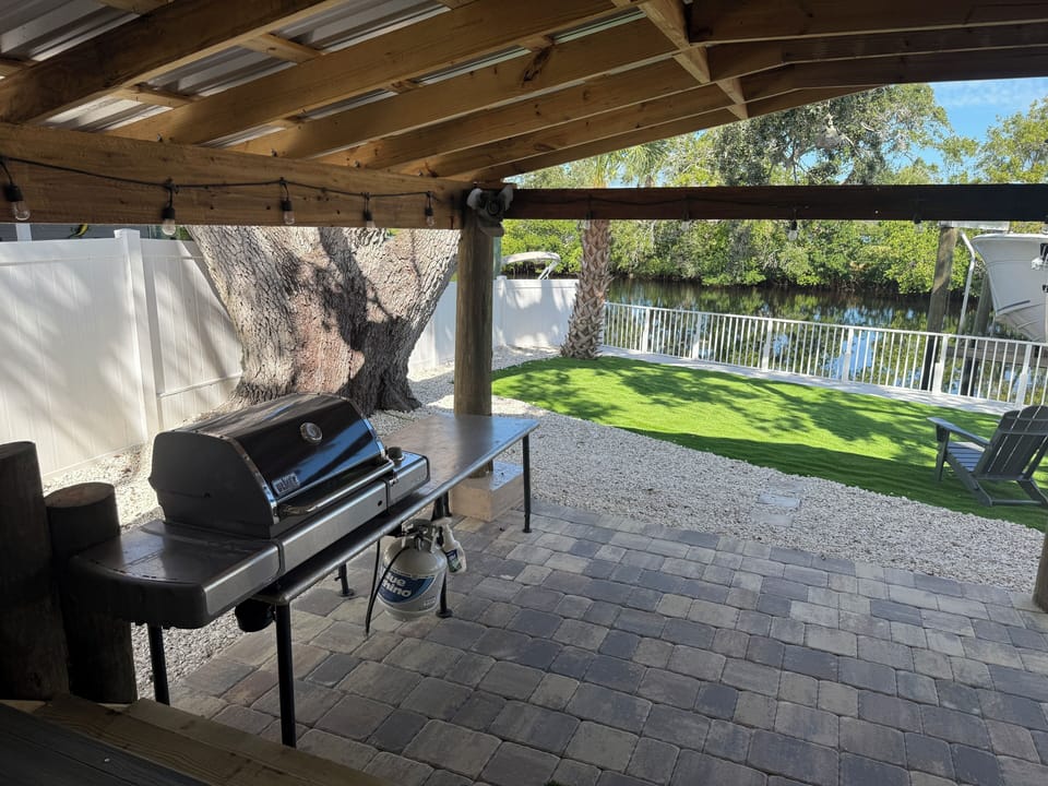 back yard