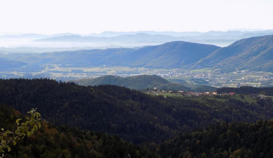 View