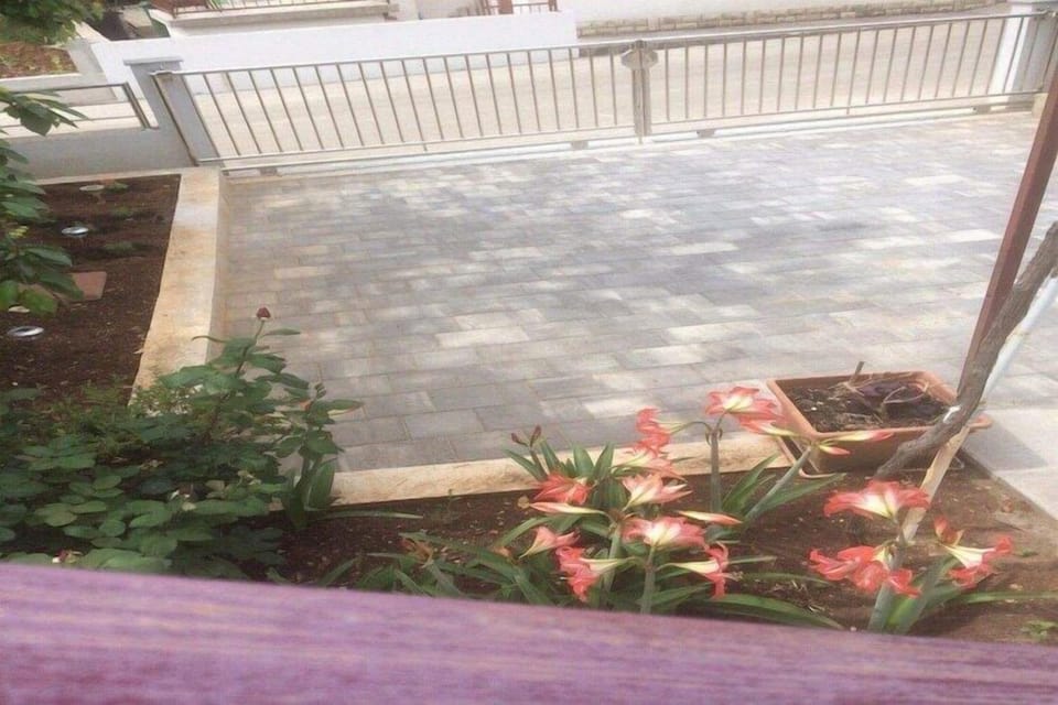 Garden [summer]