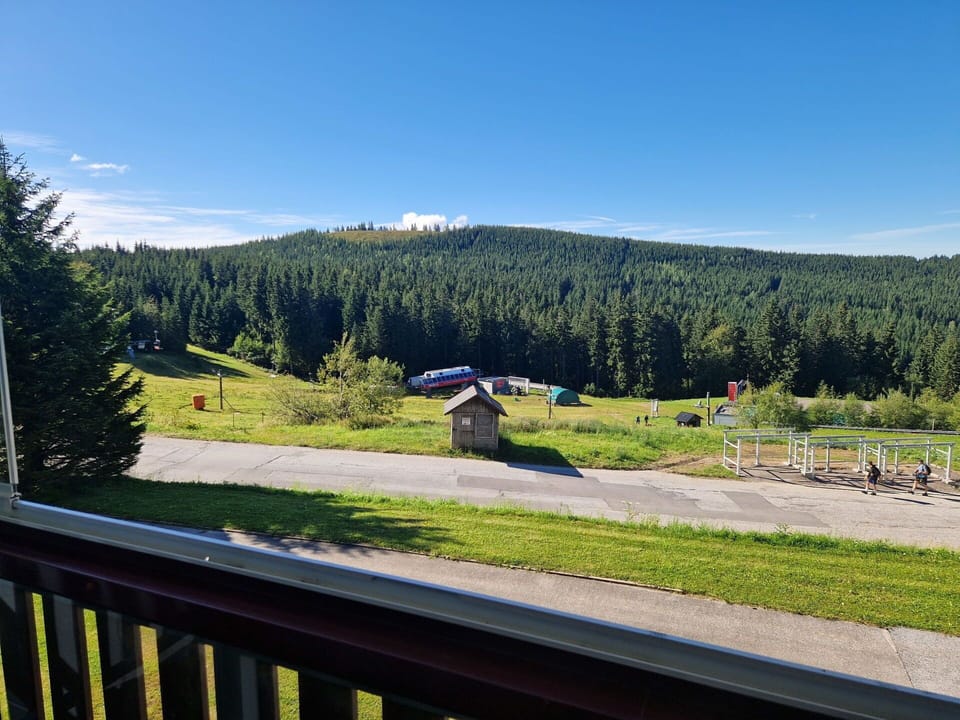 Hill, Highland, Hill Station, Larch, Mountain Range, Valley, Evergreen