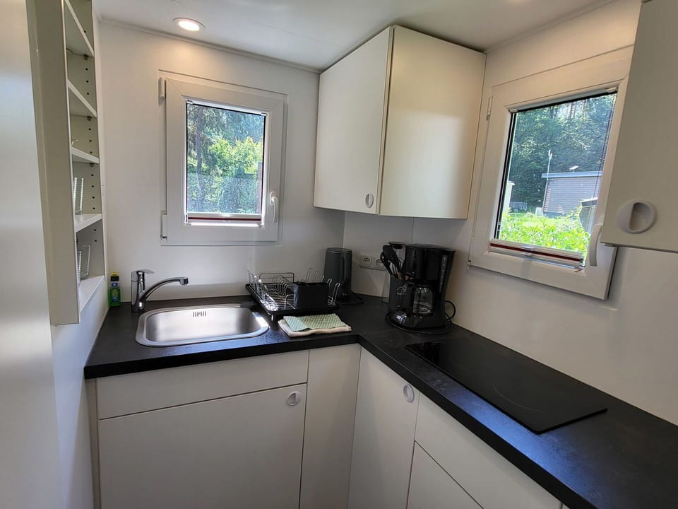 Kitchen Sink, Plumbing Fixture, Kitchen, Kitchen Appliance, Countertop, Sink, Tap, Major Appliance, Plumbing, Room