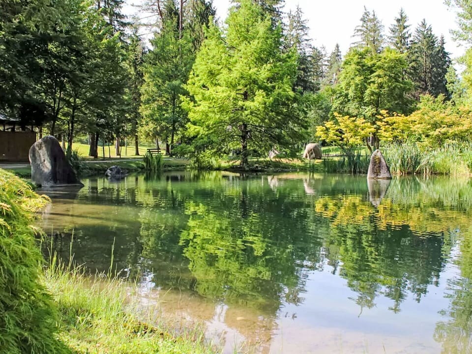 Water, Body Of Water, Tree, Water Resources, Green, Nature, Natural Environment, Natural Landscape, Watercourse, Reflection