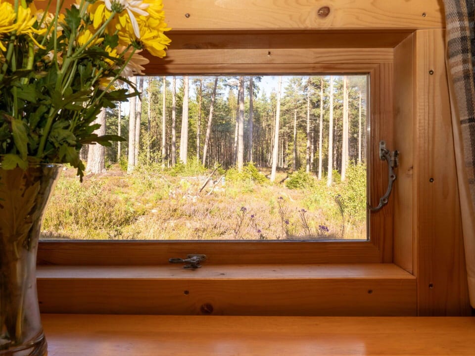 Wood, Wood Stain, Glass, Hardwood, Natural Material, Daylighting, Varnish, Plank, Houseplant, Curtain