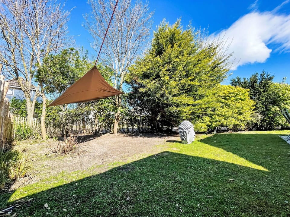 Shade, Sunlight, Garden, Lawn, Canopy, Tent, Camping, Backyard, Park