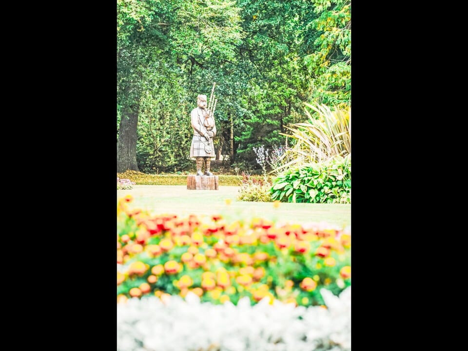 Leaf, Nature, Shrub, Lawn Ornament, Sculpture, Garden, Spring, Statue, Trunk, Monument