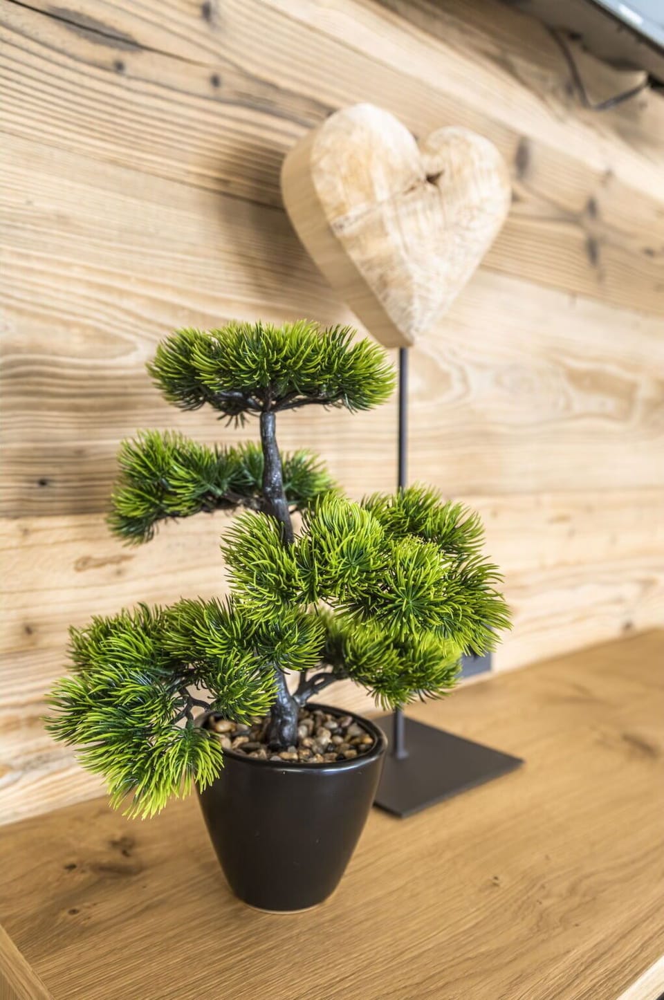 Flowerpot, Furniture, Houseplant, Vase, Pine Family