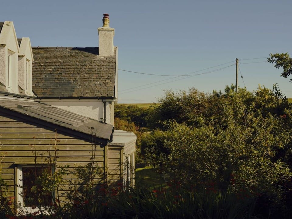 Green, Shrub, Home, House, Rural Area, Roof, Land Lot, Cottage, Twig, Siding
