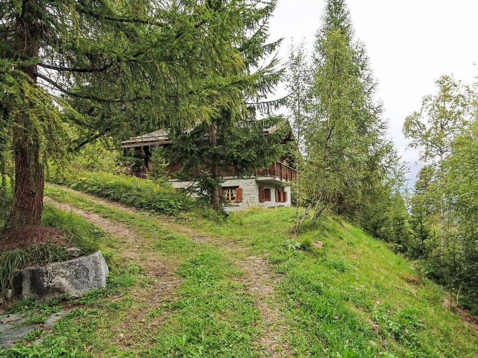 Tree, House, Cottage, Rural Area, Larch, Forest, Slope, Hill Station, Meadow