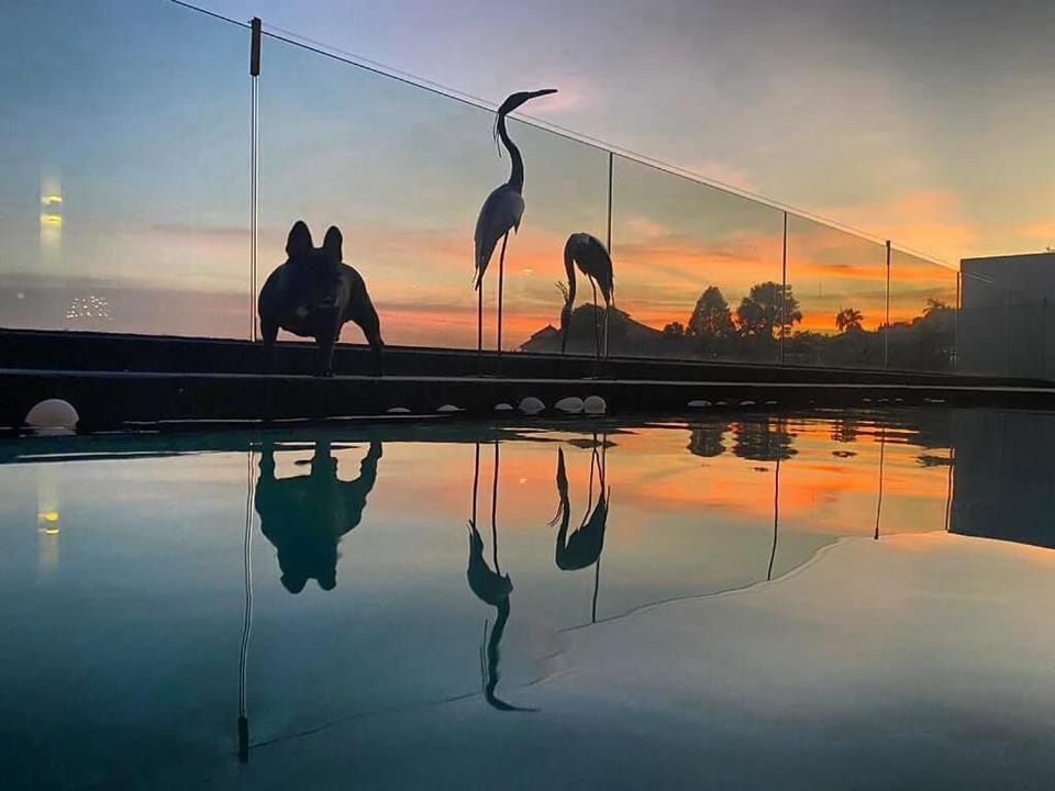 Sunset from the pool
