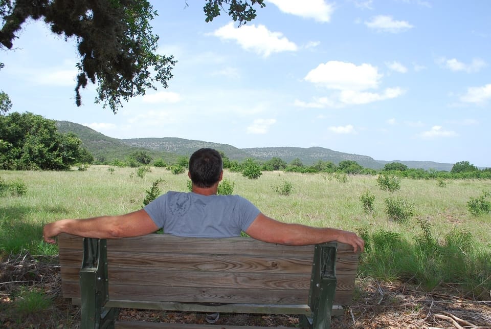 Bench, Furniture, Grass, Tree, Vegetation