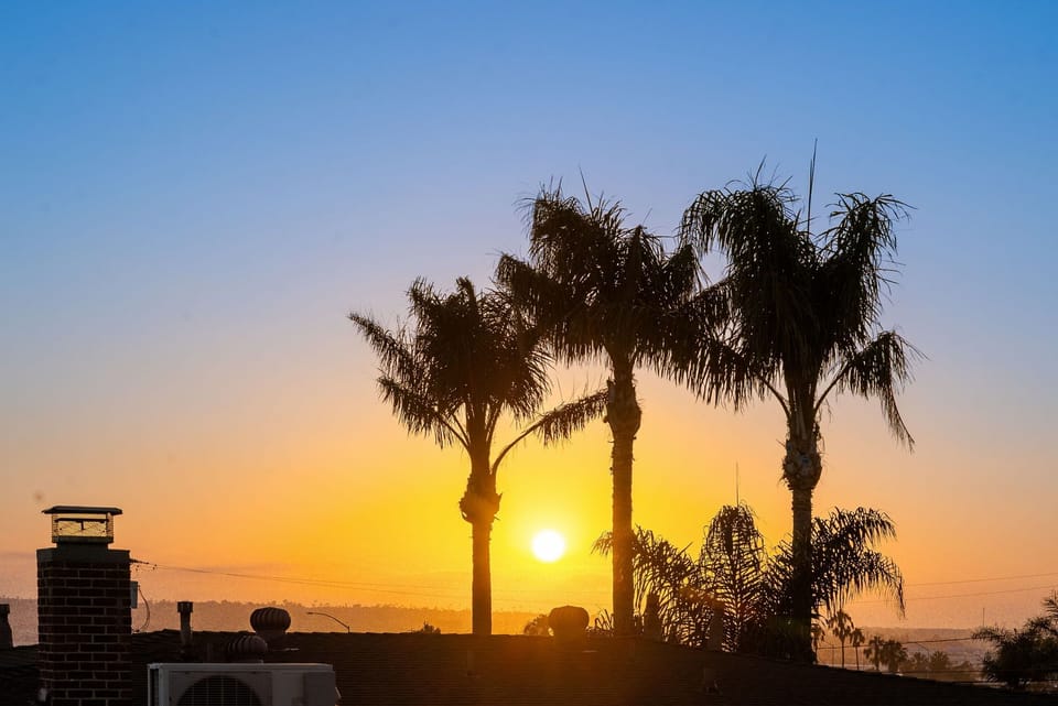 Vibrant San Diego sunset framed by swaying palms