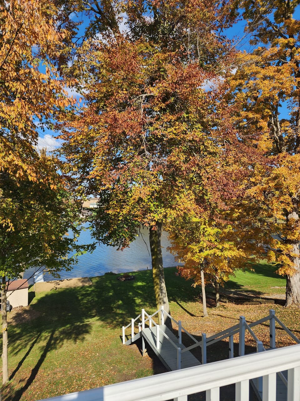 View from property