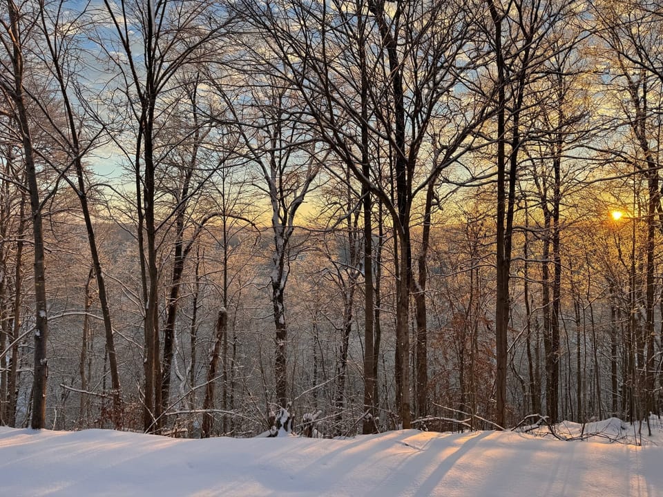 Snowy Sunrise at our cabins