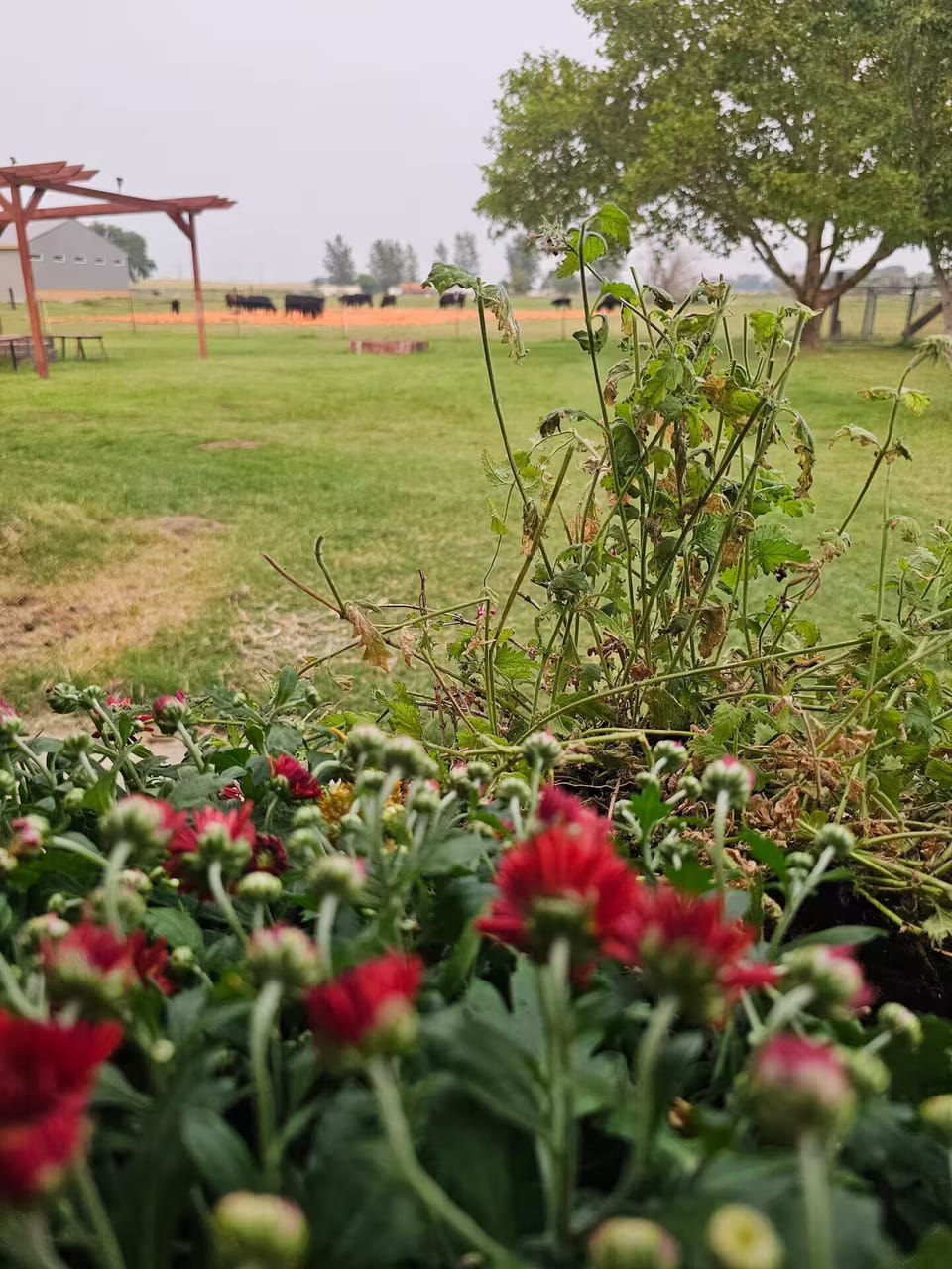Miscellaneous