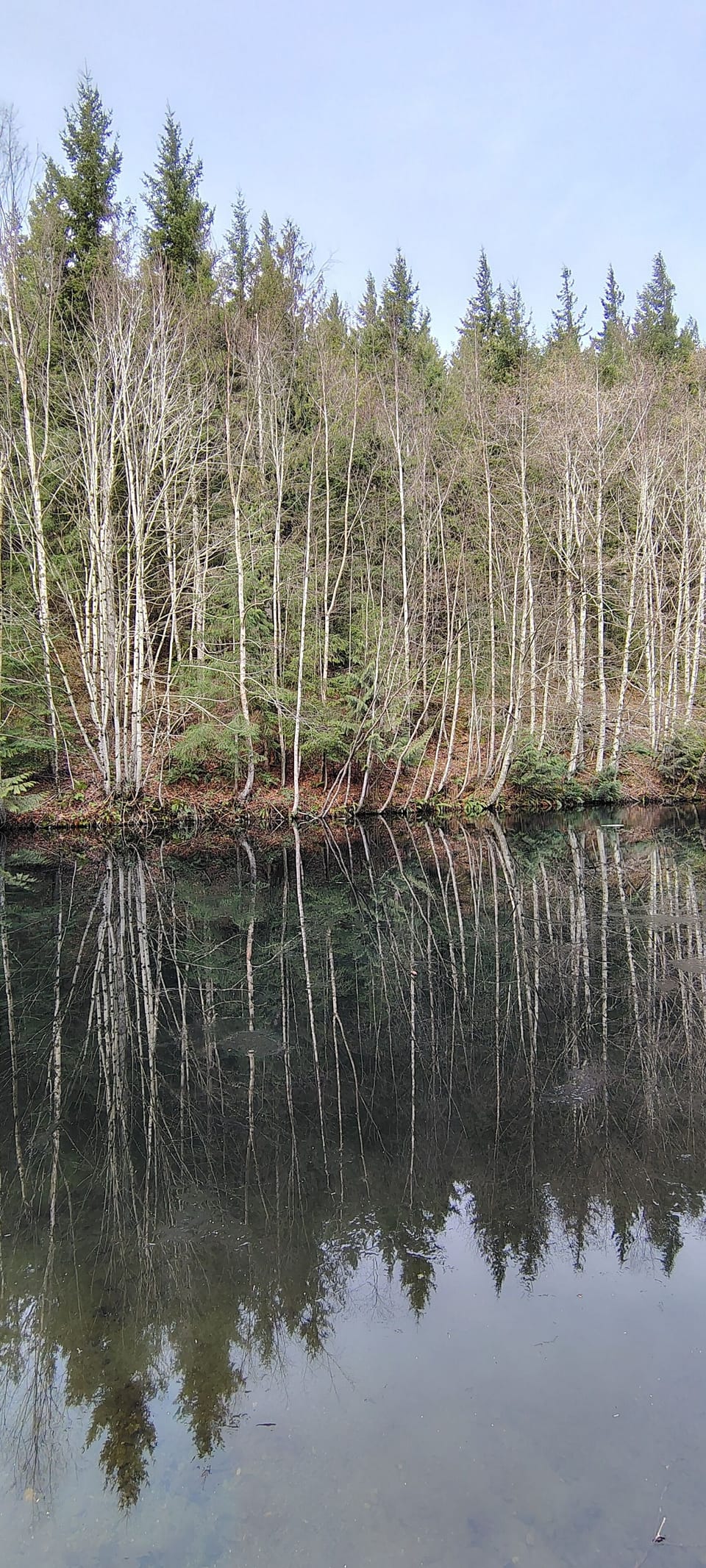 winter, outdoor, upper pond