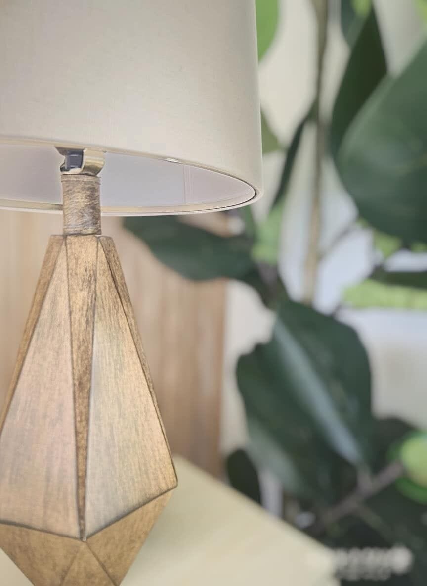 Lighting Elegance: Stylish lamp paired with lush greenery for a bright, inviting ambiance!
