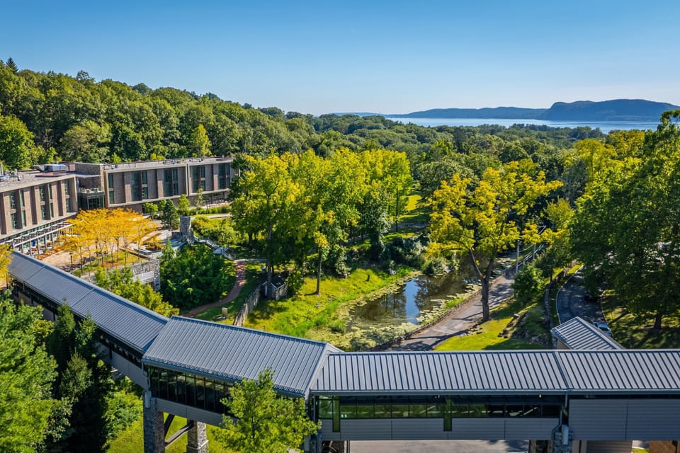 Framed by vibrant trees and a peaceful stream, this idyllic corner of Windrose features interconnected pathways, inviting guests to explore the resort's natural beauty.