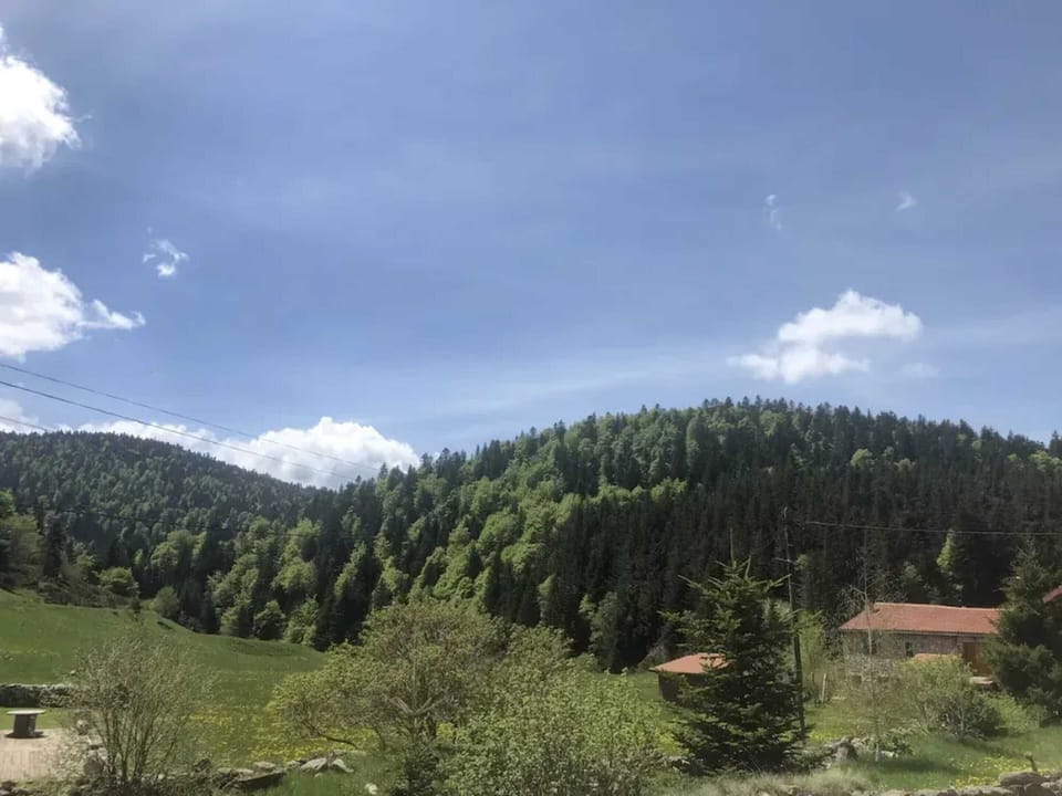Mountain view