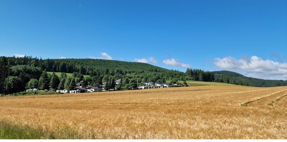 Surroundings [summer] (1-5 km)