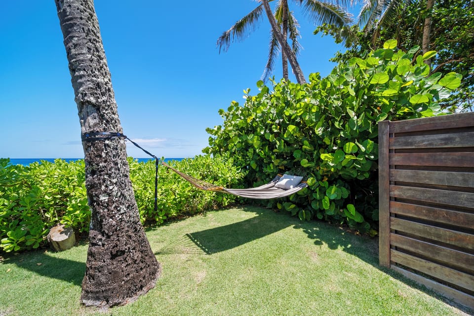 Relax in the hammock under swaying palms and listen to the peaceful sound of waves nearby.