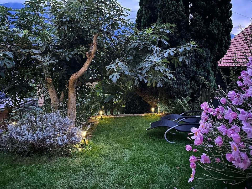 Secluded garden lounge with lake views – perfect for sunset drinks