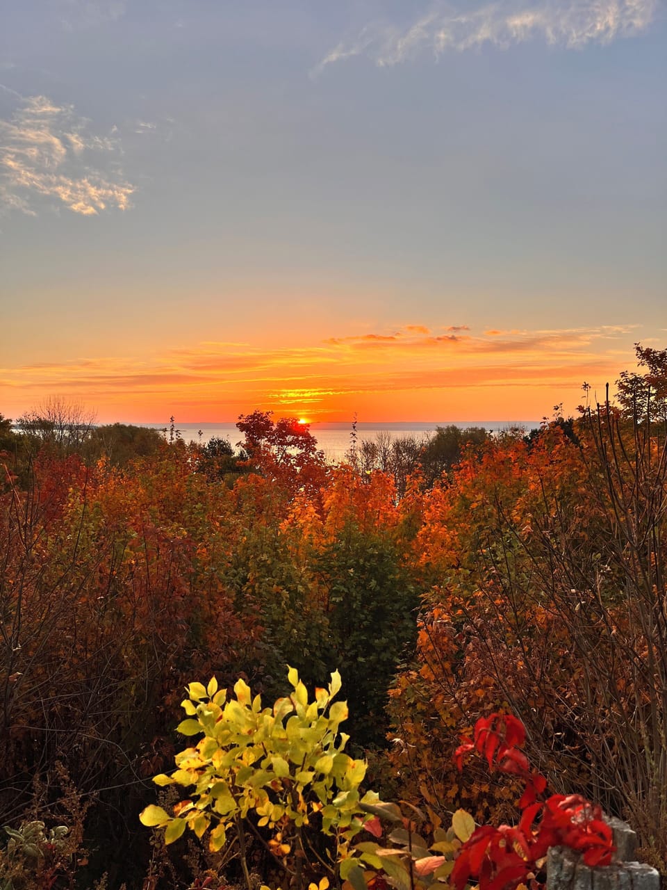 Sunrise - Levée de solaure
