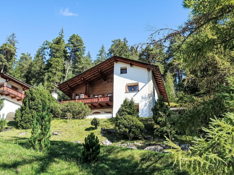 Tree, House, Home, Cottage, Roof, Larch, Slope, Evergreen, Farmhouse