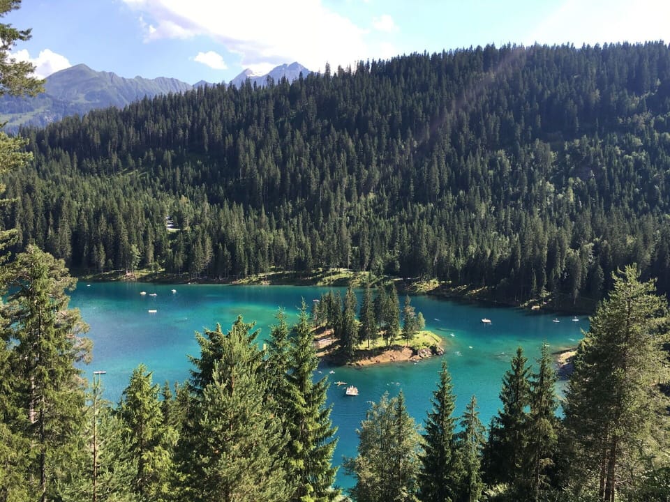 Water, Body Of Water, Water Resources, Forest, Wilderness, Bank, Lake, Tarn, Hill Station